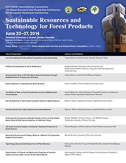 Poster Flyer