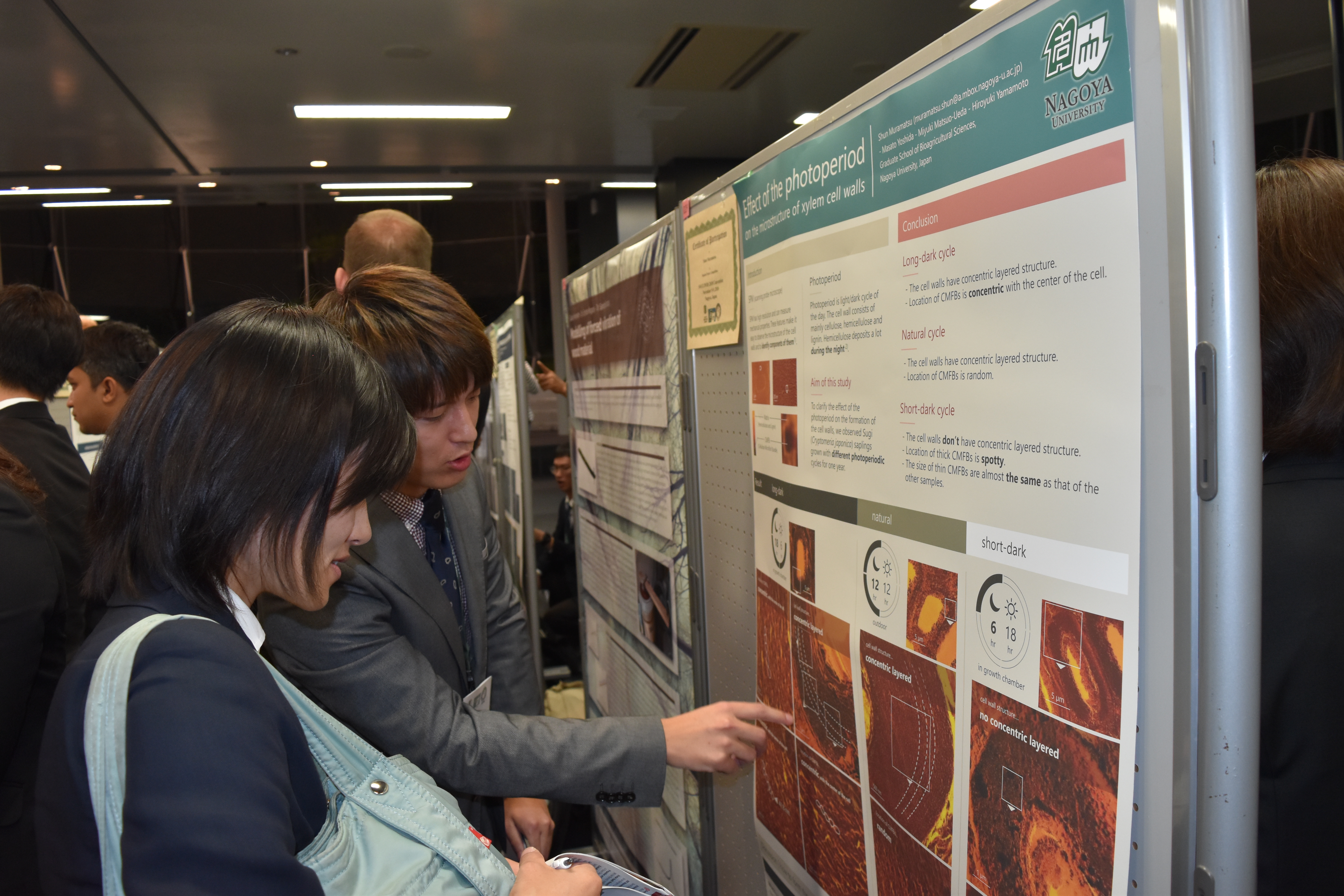 Poster Session_14 - Society of Wood Science and Technology